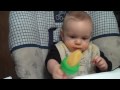 Cantaloupe