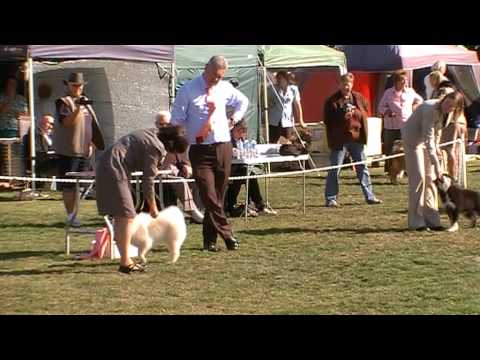 Kyla's first show