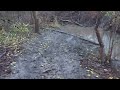 Ride Through of Trails On A 500cc Arctic Cat 4X4