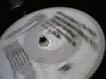 Different gear vs Police
