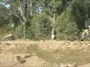 my FMX race vid