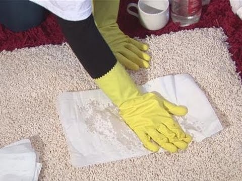 Cat Urine In Carpet