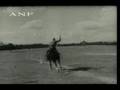 Romanian Cavalry -- RARE