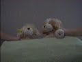 Webkinz World News at 10