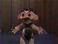 The Pig in the Wig
