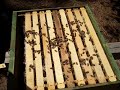 I uploaded a YouTube video -- Inspect Isabella part 2 bottom http://youtu.be/LjUrE5gstaw?a