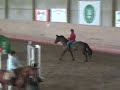 Sandra & Papaya Q Flyinge P and J