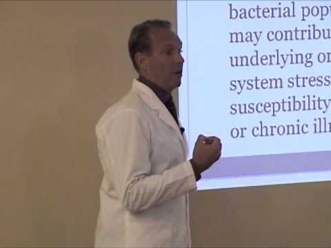 Dr den Boer on Probiotics