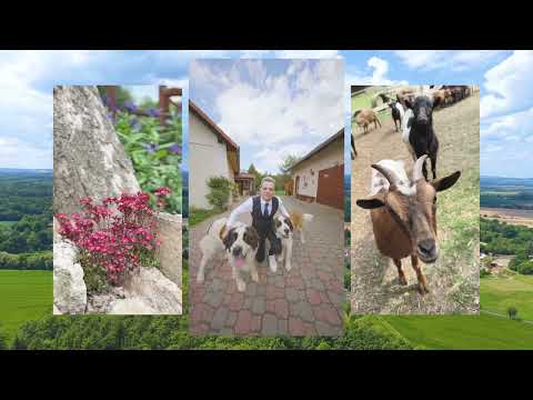 Video Prodej rodinného domu se zavedeným hospodářským zázemím, kde zůstává všechno.
