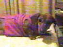 PERROS SALCHICHAS GIMME MORE LUNA SPEARS