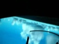 Just flying Just flying
