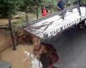 Com dois ocupantes, moto cai em rio e adolescente morre