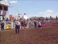 strathmore steer riding short go strathmore steer riding short go
