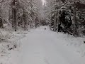 Rodde in the snow