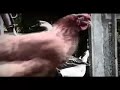 Lola Angst - Am I dead?