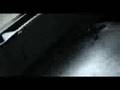 Lola Angst - Am I dead?