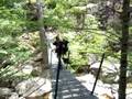 pont de singe en Corse