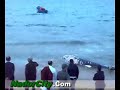 baleine nador
