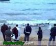 Baleine nador