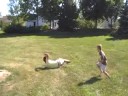 Happy Park Montage With Nico B., Jobe and Timo