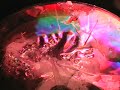 Light Show