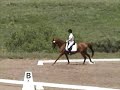 Spring Gulch 07 - Dressage Spring Gulch 07 - Dressage