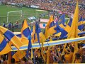 vamos auriazules (d vuelta-tigres uanl) vamos auriazules (d vuelta-tigres uanl)
