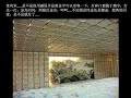 Beijing Olympics Bird\