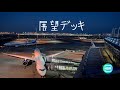 展望デッキとは｜人と飛行機が織りなす航空文化の物語 Haneda Airport Observation Deck