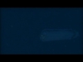 mgs  cast away