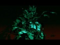 mgs  cast away