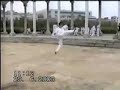 chinese kungfu