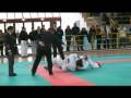 Ju Jitsu  Fighting System Mario 