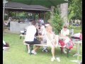 IDOM Tenisz �s Sportk�zpont
