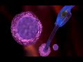 Artritis reumatoidea uniandes