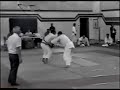 The Prodigy v.s. Black Belt Judo