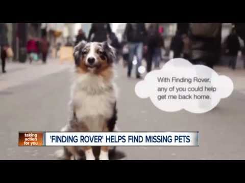 how to update locate db