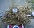 Puch & Tomos Meeting, Vlissingen 2005 #3