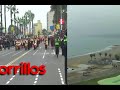 banda musica john dewey
