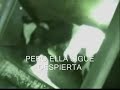 El otro lado de tu hamburguesa C.A.D.A.