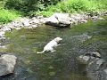 Water too low?  Rock to Slippery?  Now What?