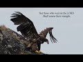 Isaiah 40:25-31 Those Who Wait on the LORD (Christian Scripture Songs with Lyrics)