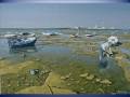 CADIZ EN LOS OLEOS DE MANOLO CASTRO THOMAS CON MUSICA DE 