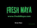 Maya Video Tutorial: Bump Maps