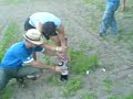 Mentos und Cola
