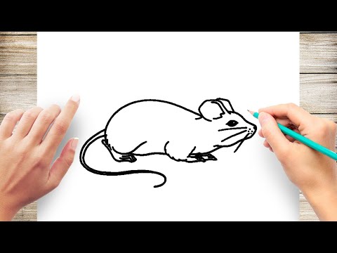 video-linktoworks-How to Draw Realistic Rat Easy - YouTube