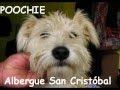 CAMPAÑA ADOPTA!!!