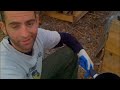 Grease Wood Grease Wood