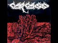 Fermenting Innards - Carcass