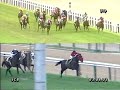 gp brasil 2003